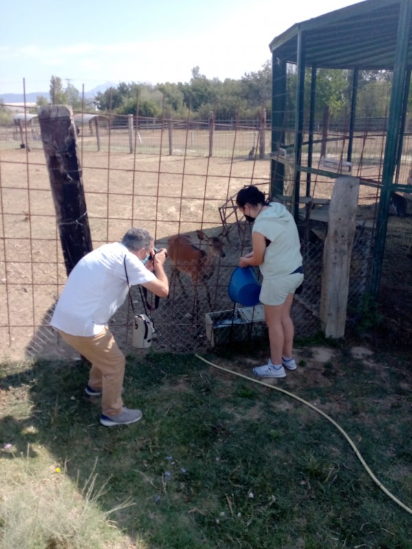 Emues y Luca